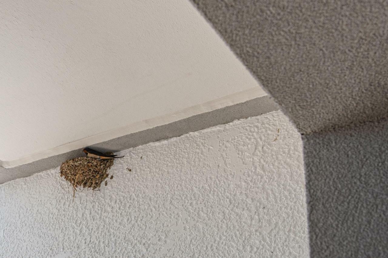 Appartement Aethrea *
